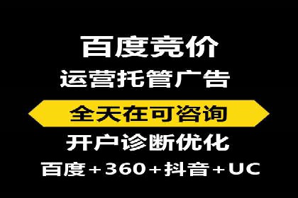 谷歌竞价广告在电商行业的运用案例